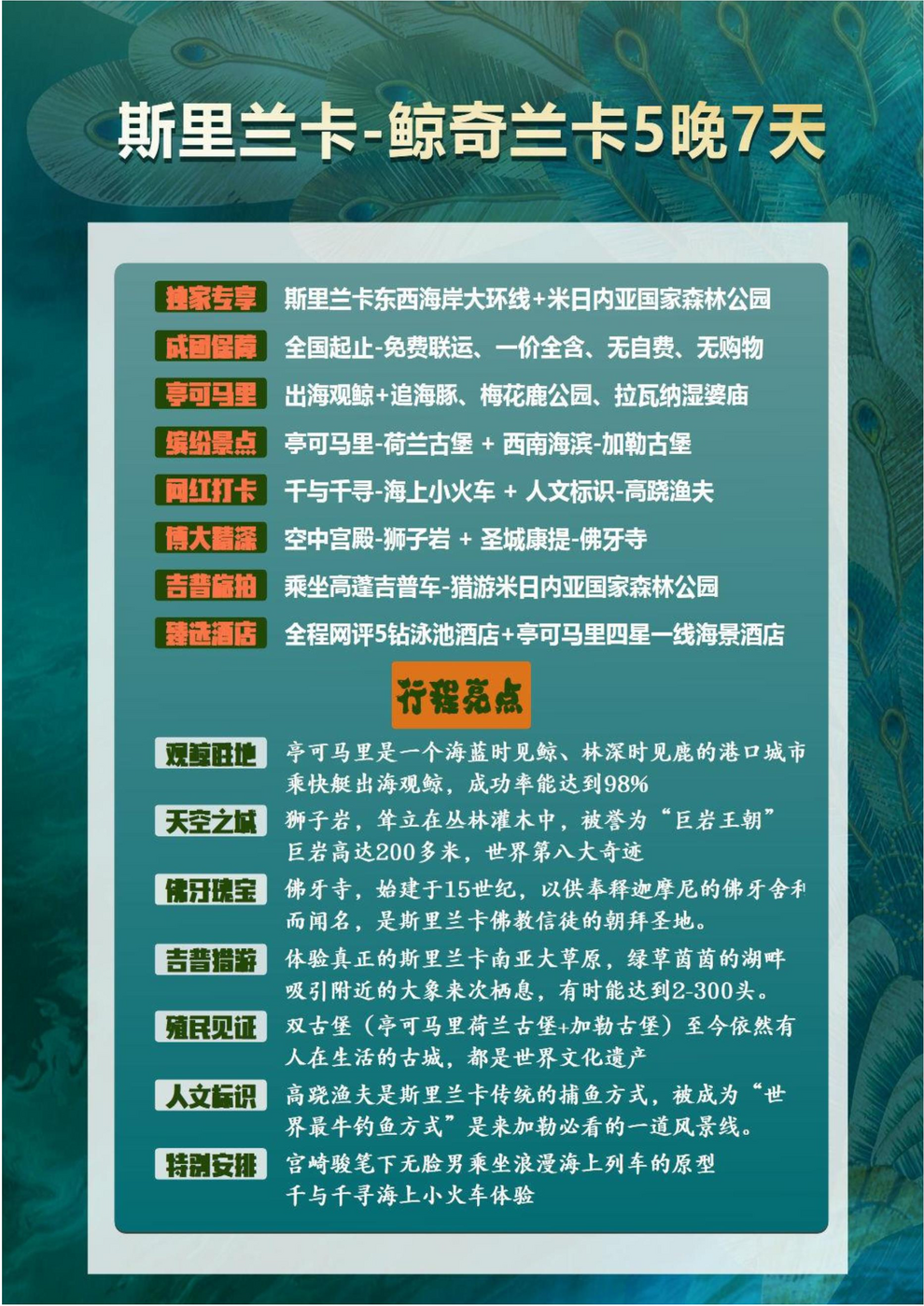 图片6(1)